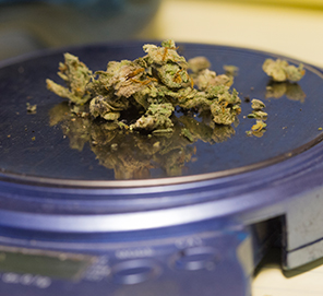 Florida Courts' Parameters for Weighing Marijuana
